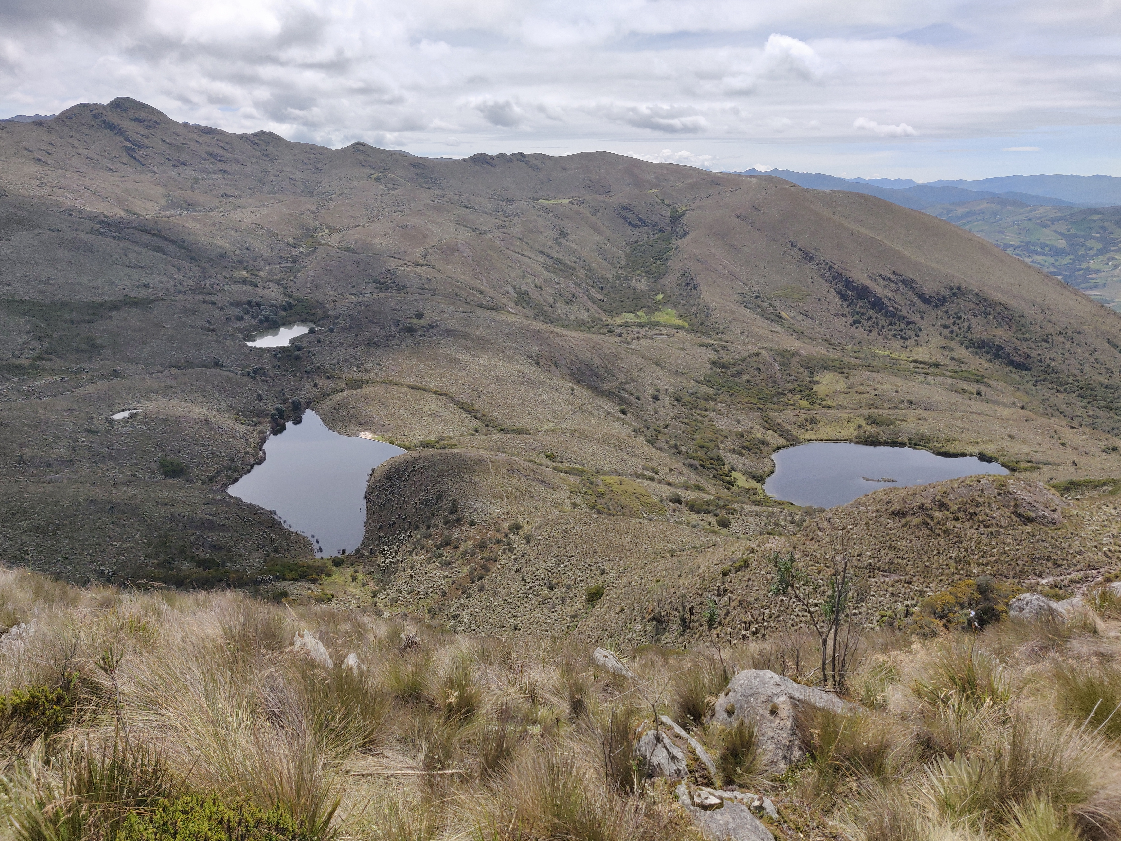 Paisaje de páramo 1