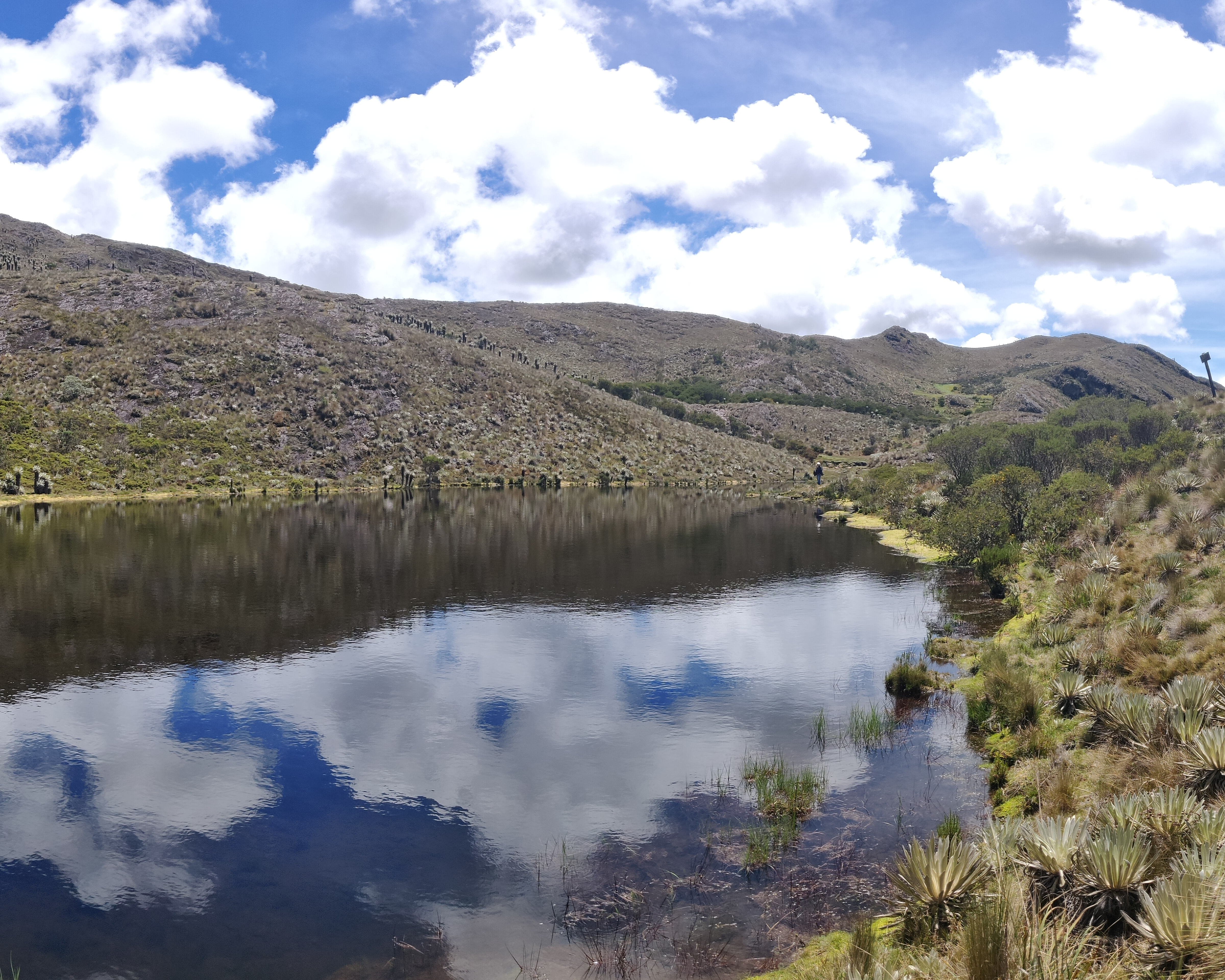 Paisaje de páramo 3