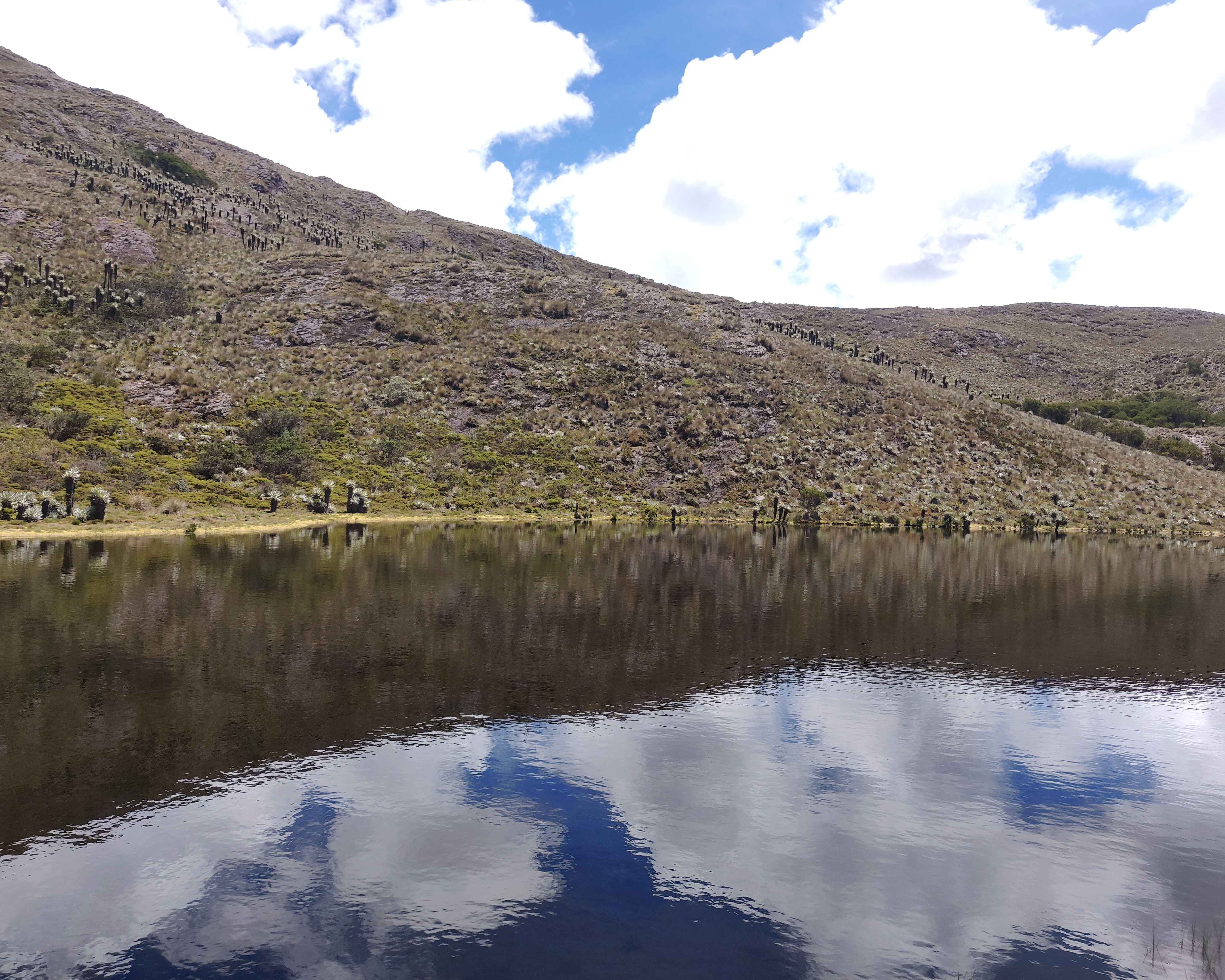 Paisaje de páramo 4