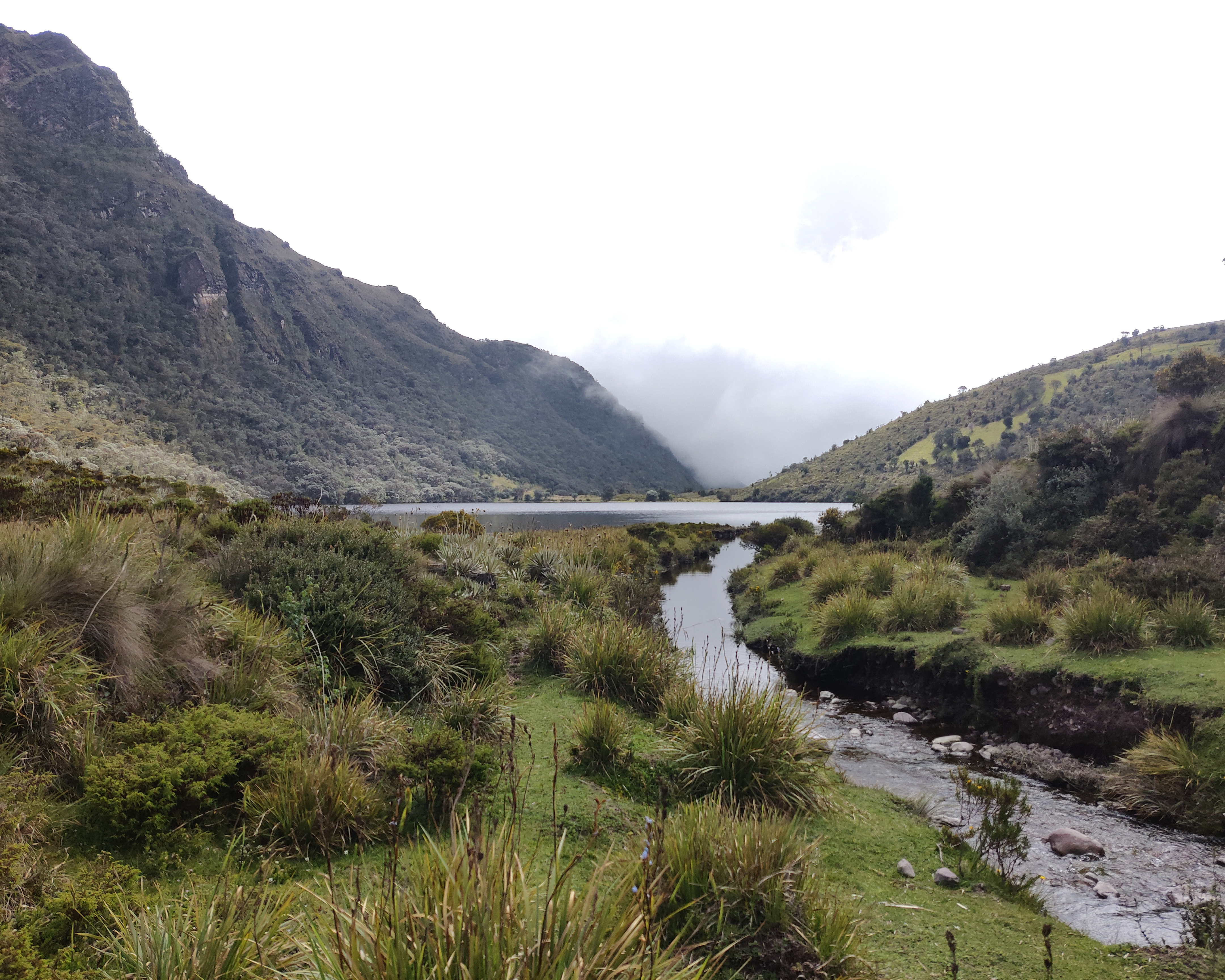 Paisaje de páramo 5