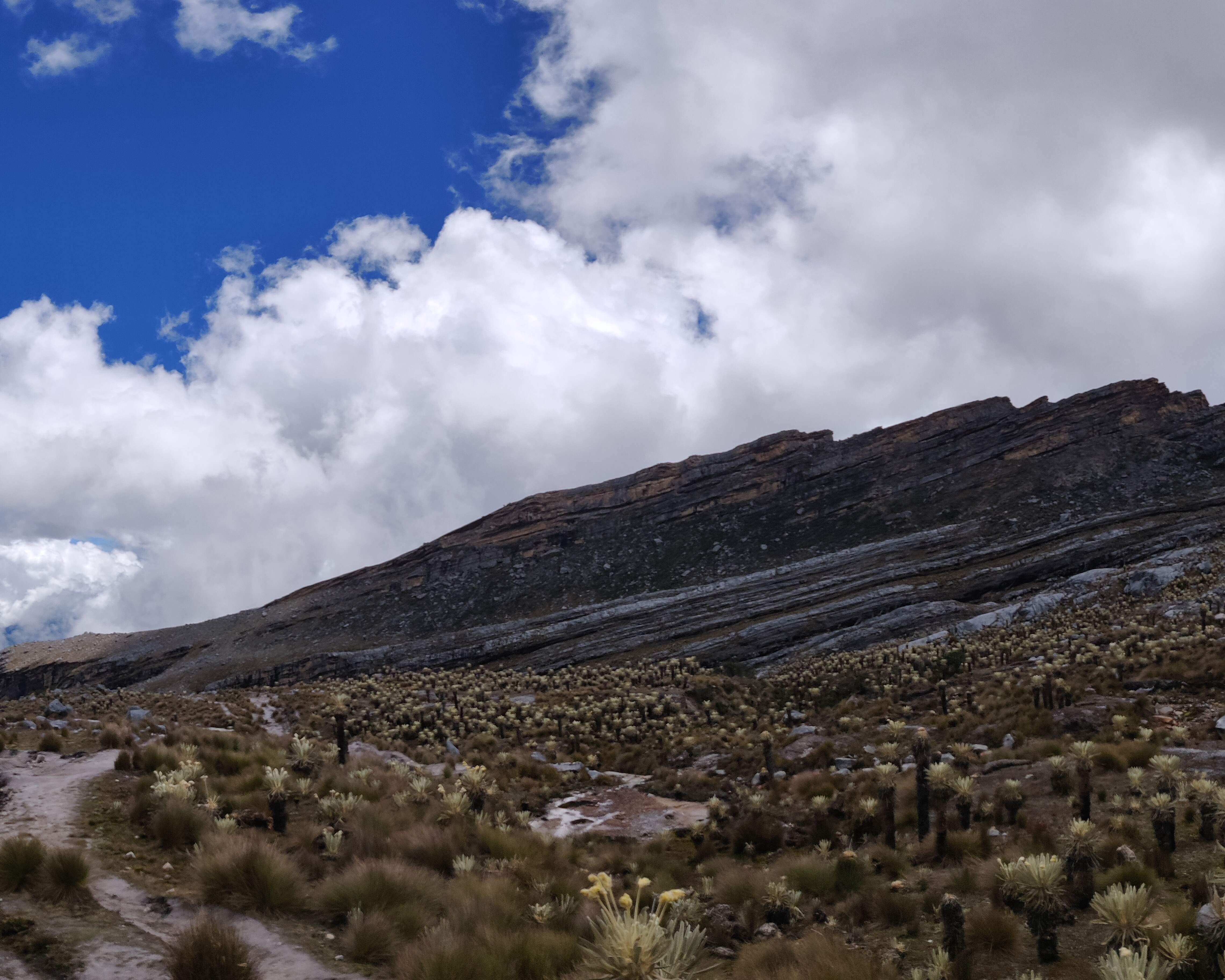 Paisaje de páramo 8