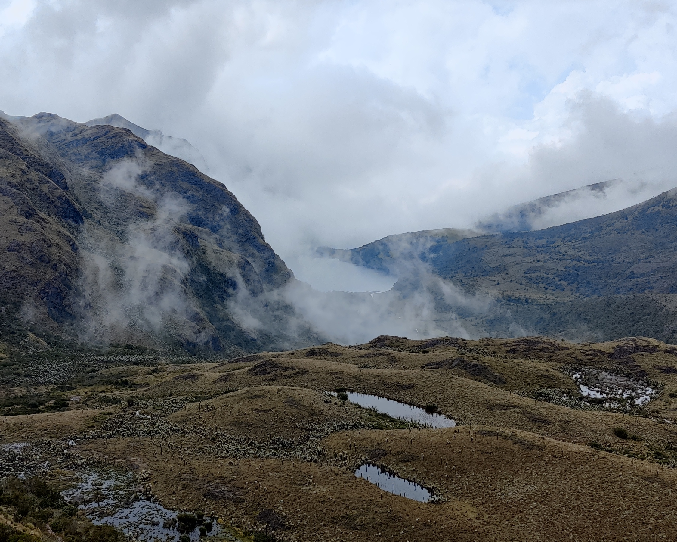 Paisaje de páramo 12