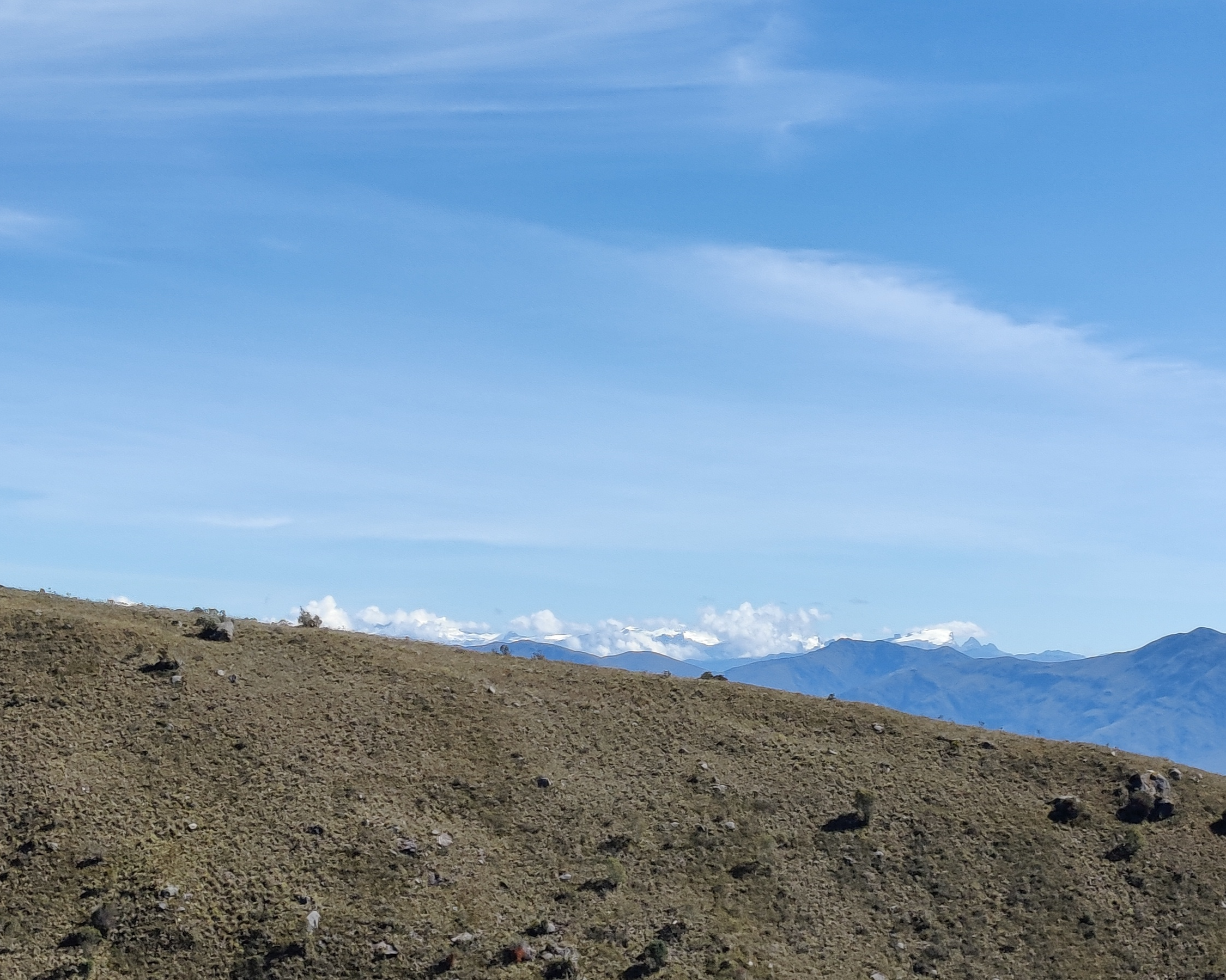 Paisaje de páramo 13