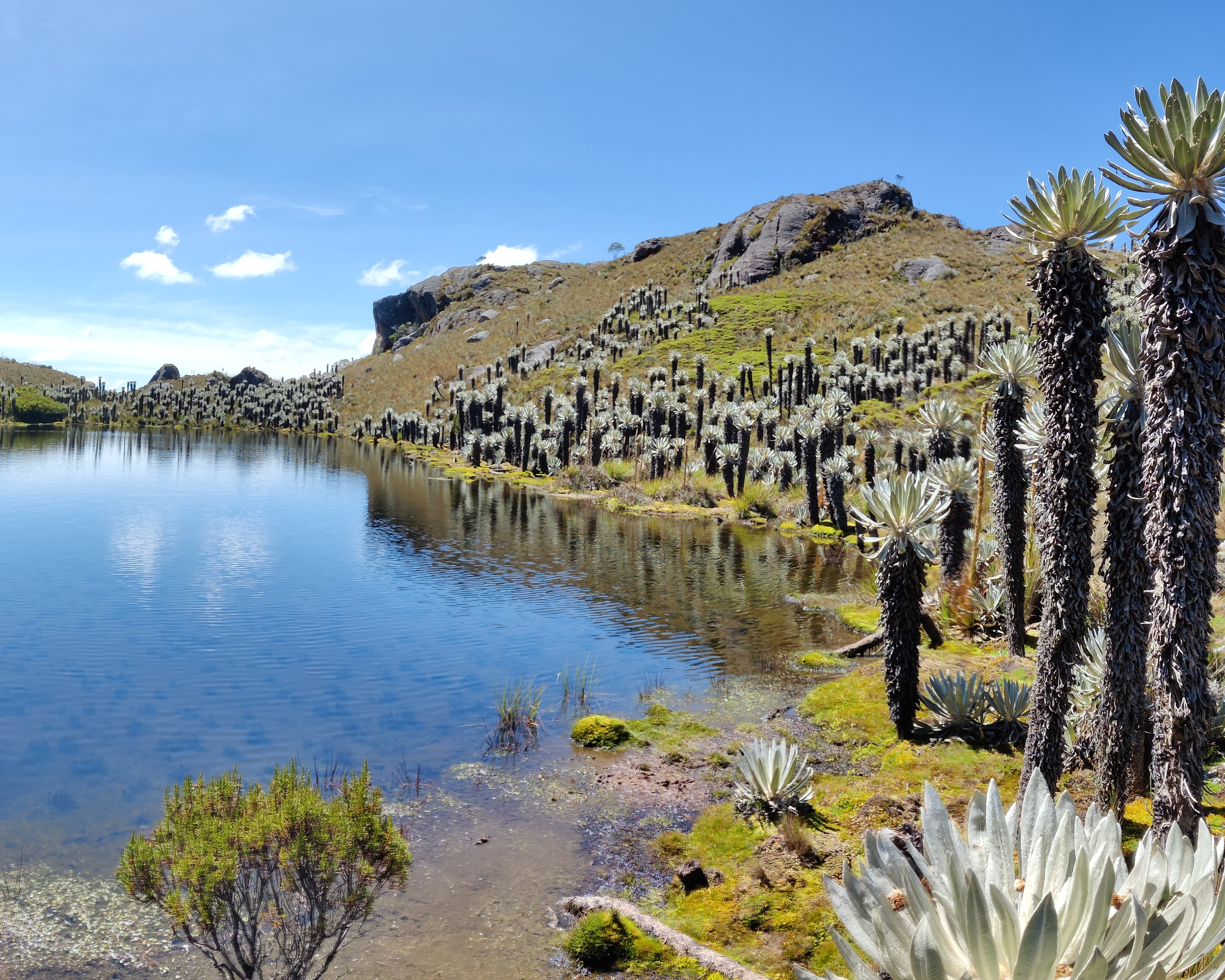 Paisaje de páramo 14