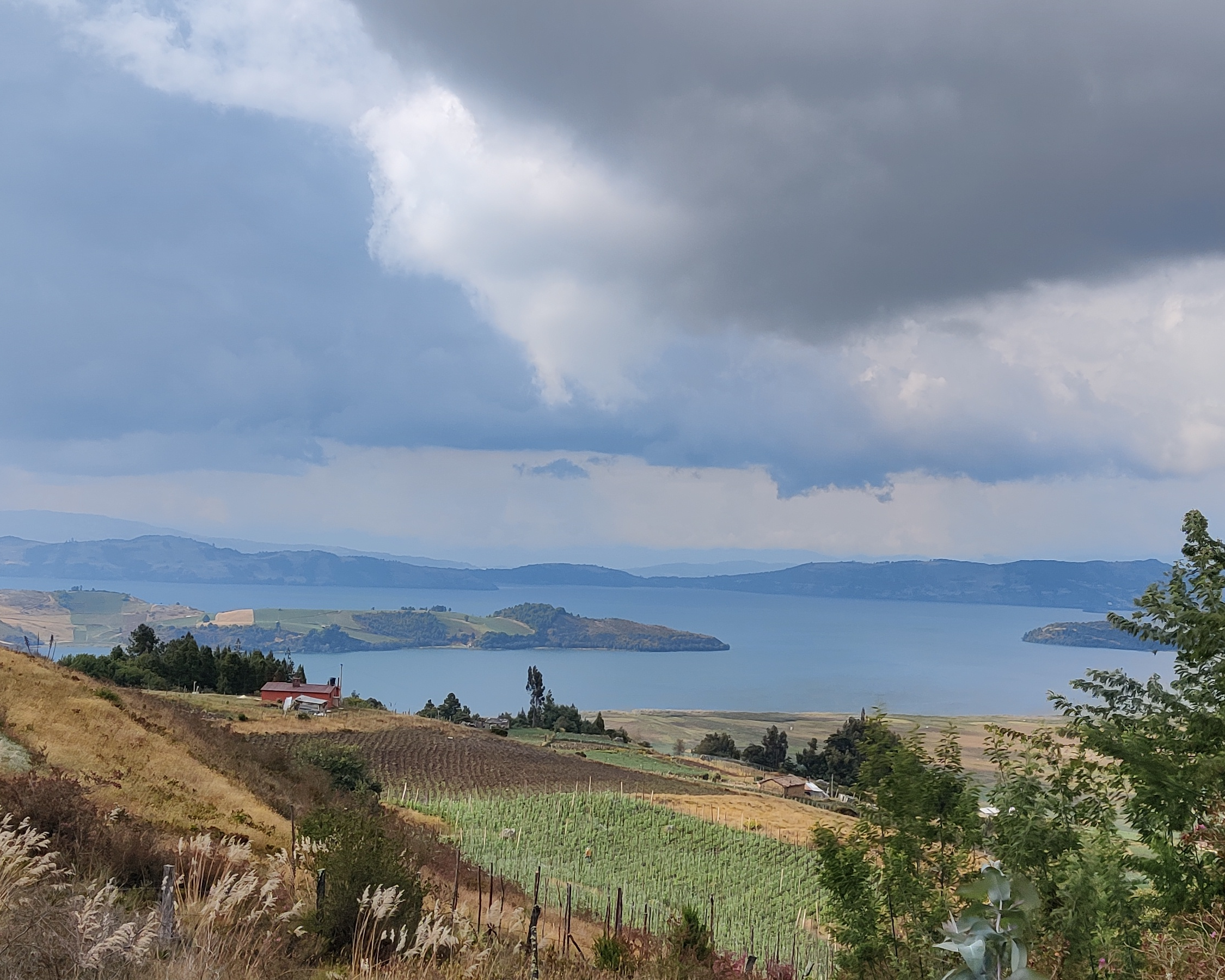 Paisaje de páramo 15