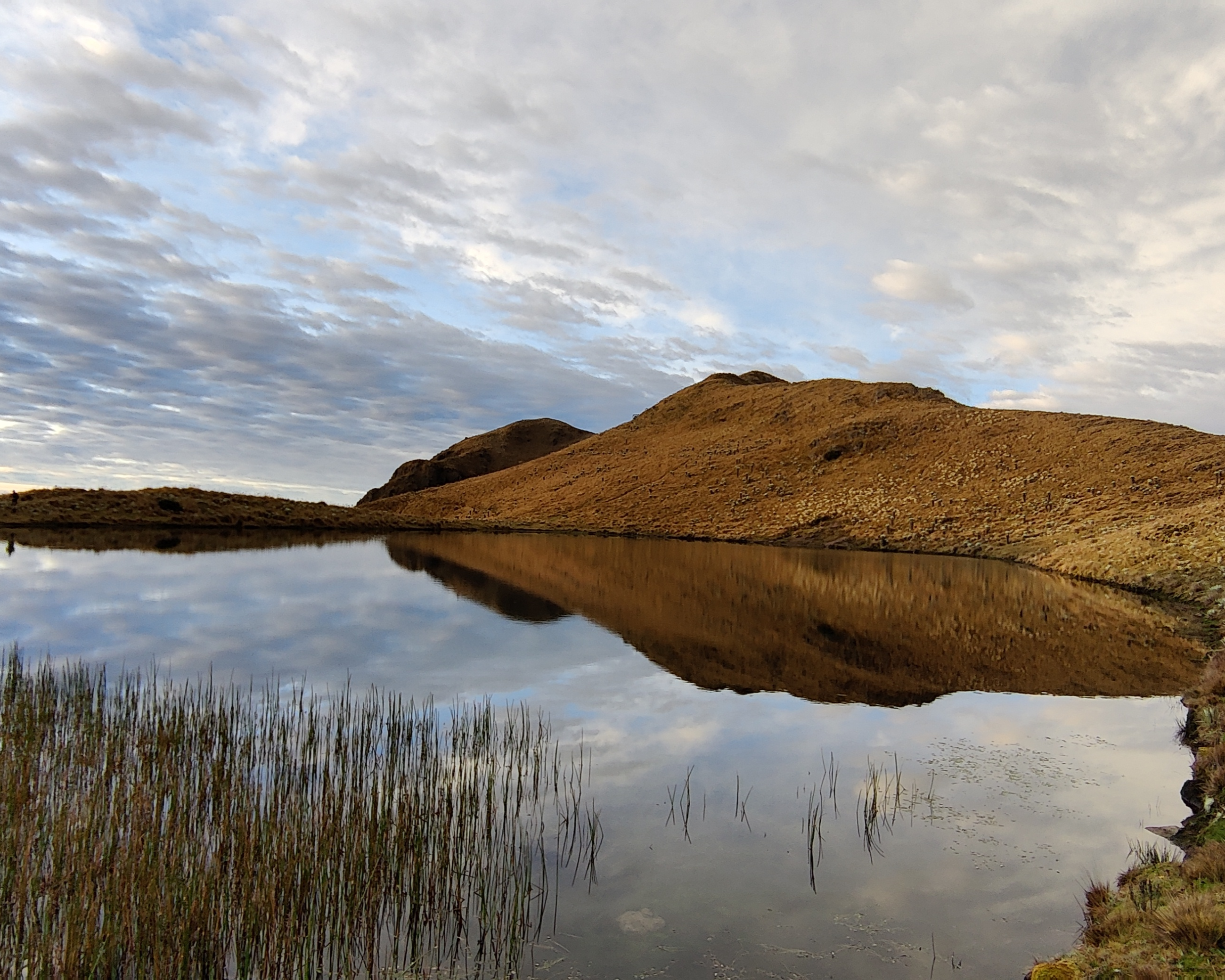 Paisaje de páramo 19