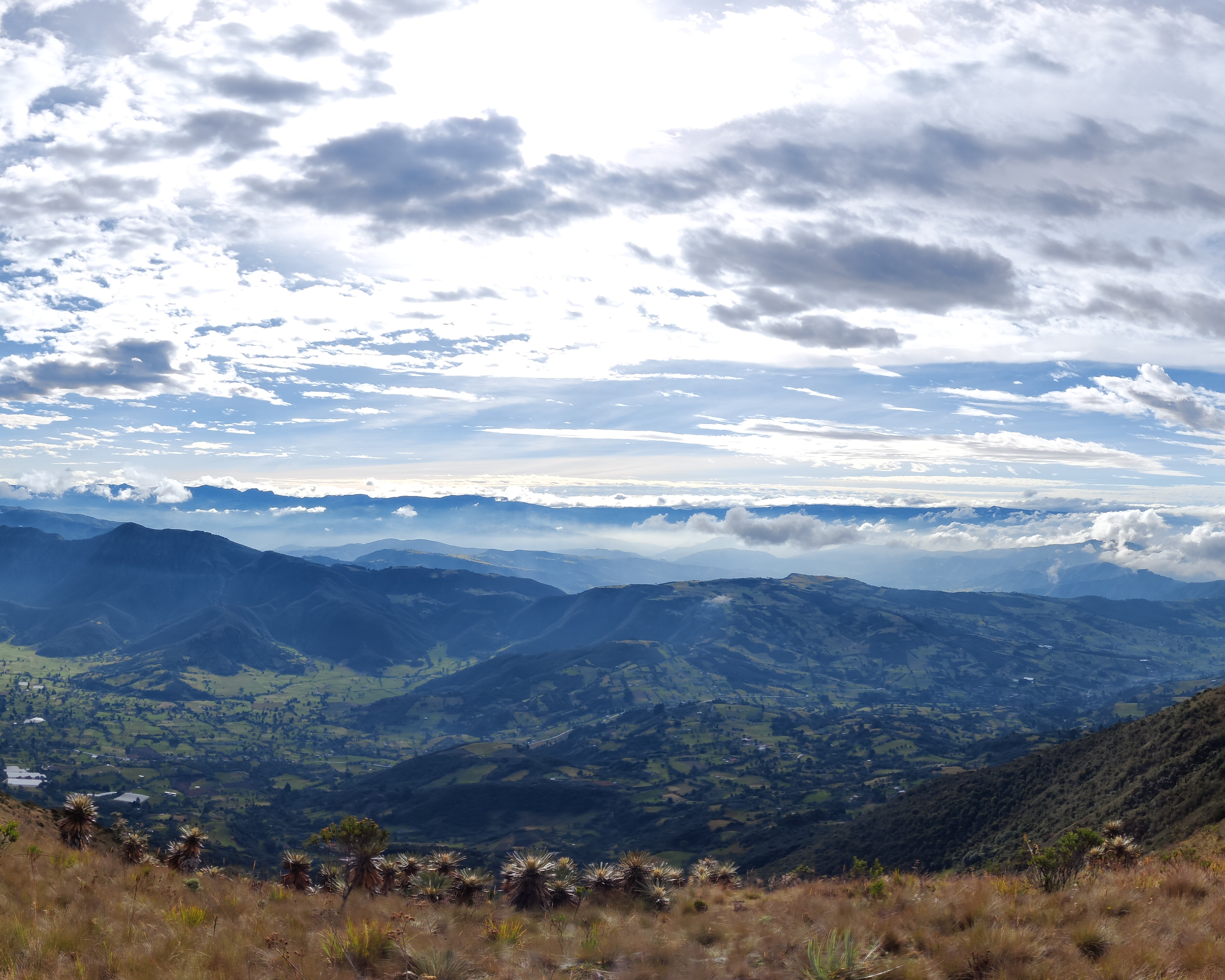 Paisaje de páramo 20